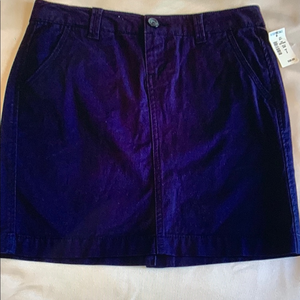 Aeropostale Navy Mini Skirt for Casual Wear, size 0, NWT